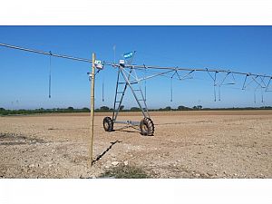 PROYECTO: MANEJO EFICIENTE DEL RIEGO MEDIANTE LA MONITORIZACIÓN CON SONDAS DE HUMEDAD Y TELEDETECCIÓN.