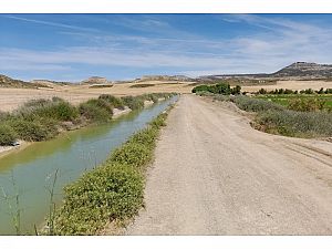La CHE adjudica el mantenimiento de las infraestructuras hidráulicas de la zona regable del Canal de Bardenas, en Navarra y Aragón