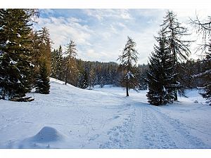 PARTE DE NIEVE 28-02-2022