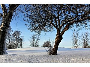 PARTE DE NIEVE 14-03-2022