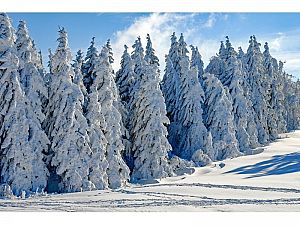 PARTE DE NIEVE 21-03-2022