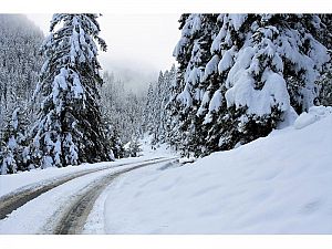 PARTE DE NIEVE 28-03-2022