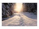 FOTO NIEVE 04-04-2022