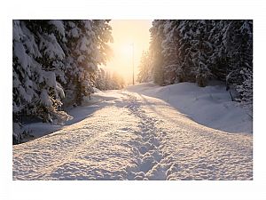 PARTE DE NIEVE 04-04-2022