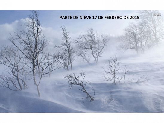 PARTE DE NIEVE 17-02-2019