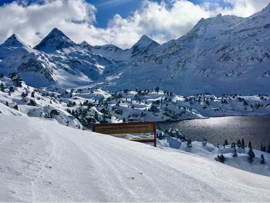 nieve