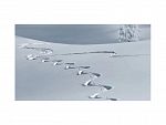 PARTE DE NIEVE 12-04-2020