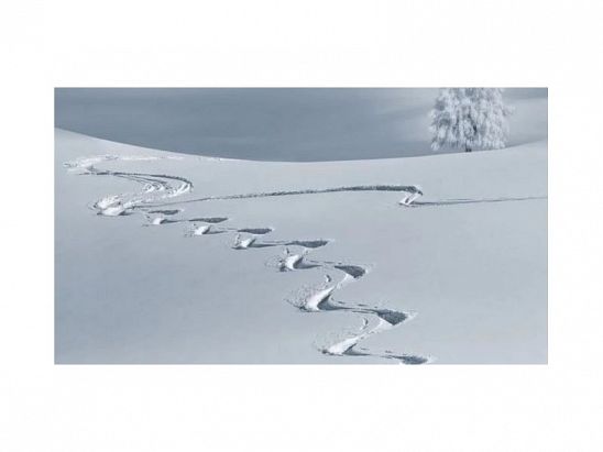 PARTE DE NIEVE 12-04-2020