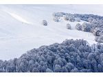 NIEVE