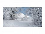 FOTO NIEVE