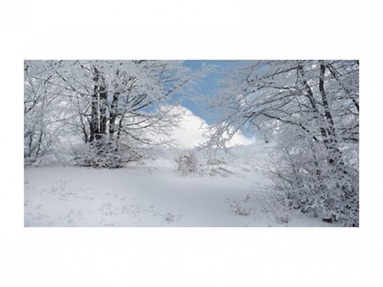 FOTO NIEVE