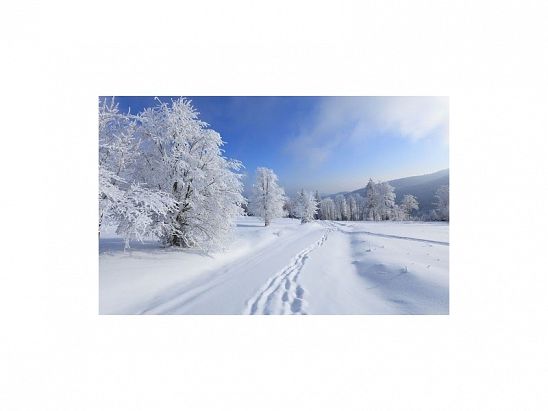 PARTE DE NIEVE 03-01-2021