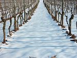 PARTE DE NIEVE 17-01-2021