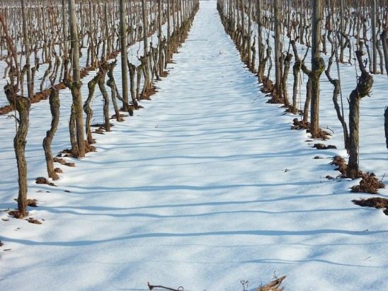 PARTE DE NIEVE 17-01-2021