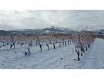 PARTE DE NIEVE