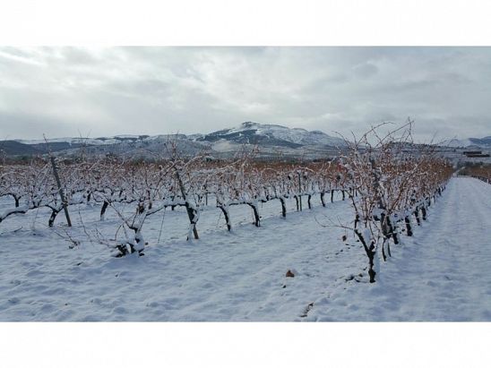 PARTE DE NIEVE