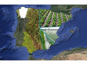 Uso del agua de regadío en España...
