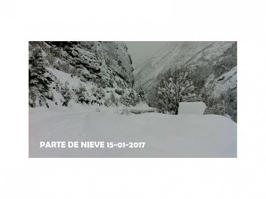PARTE DE NIEVE 15-01-2017