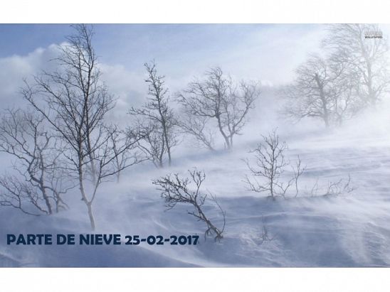 PARTE DE NIEVE 25-02-2017