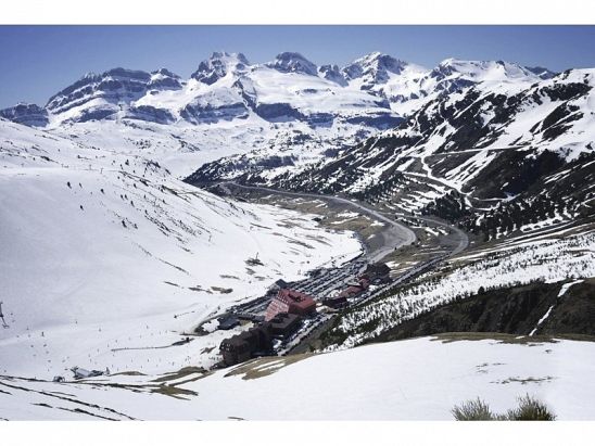NIEVE NIEVE
